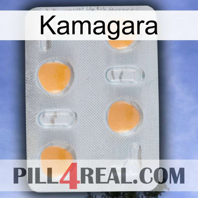 Kamagara 24